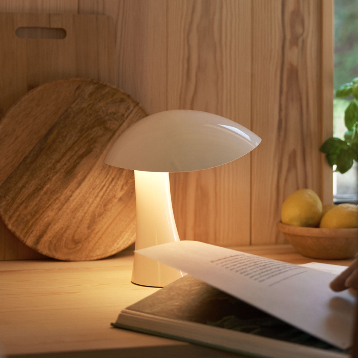 Rumee 220 portable lamp