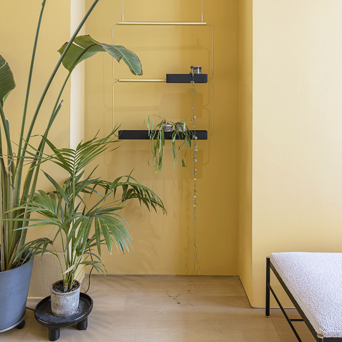 Ex.t - Nudo GS2 - Taninihome.com