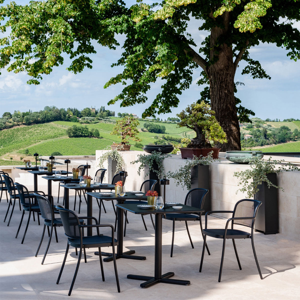 Emu - Café sedia - Taninihome.com