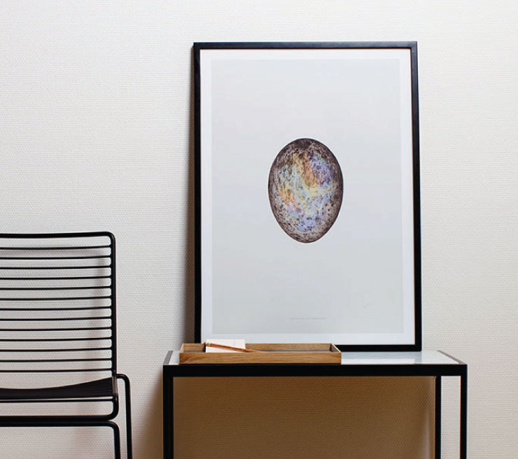 Paper Collective - Translucent Egg With spectrum Skull - Taninihome.com