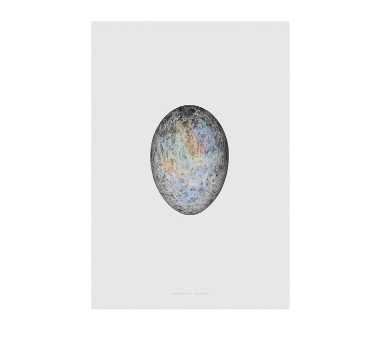 Paper Collective - Translucent Egg With spectrum Skull - Taninihome.com