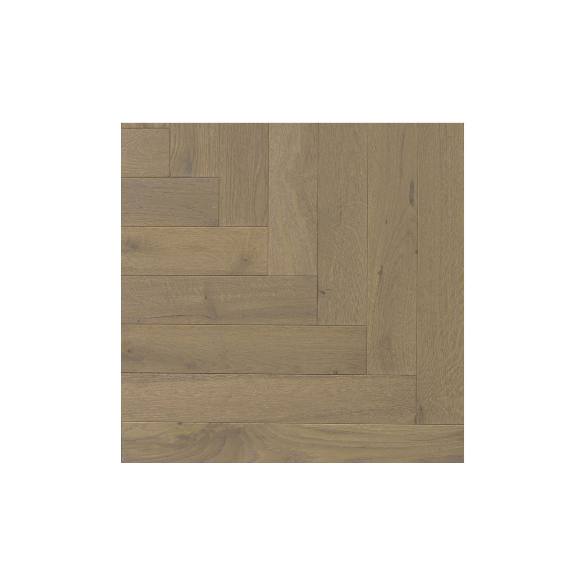 Tavar - Contract - Taninihome.com