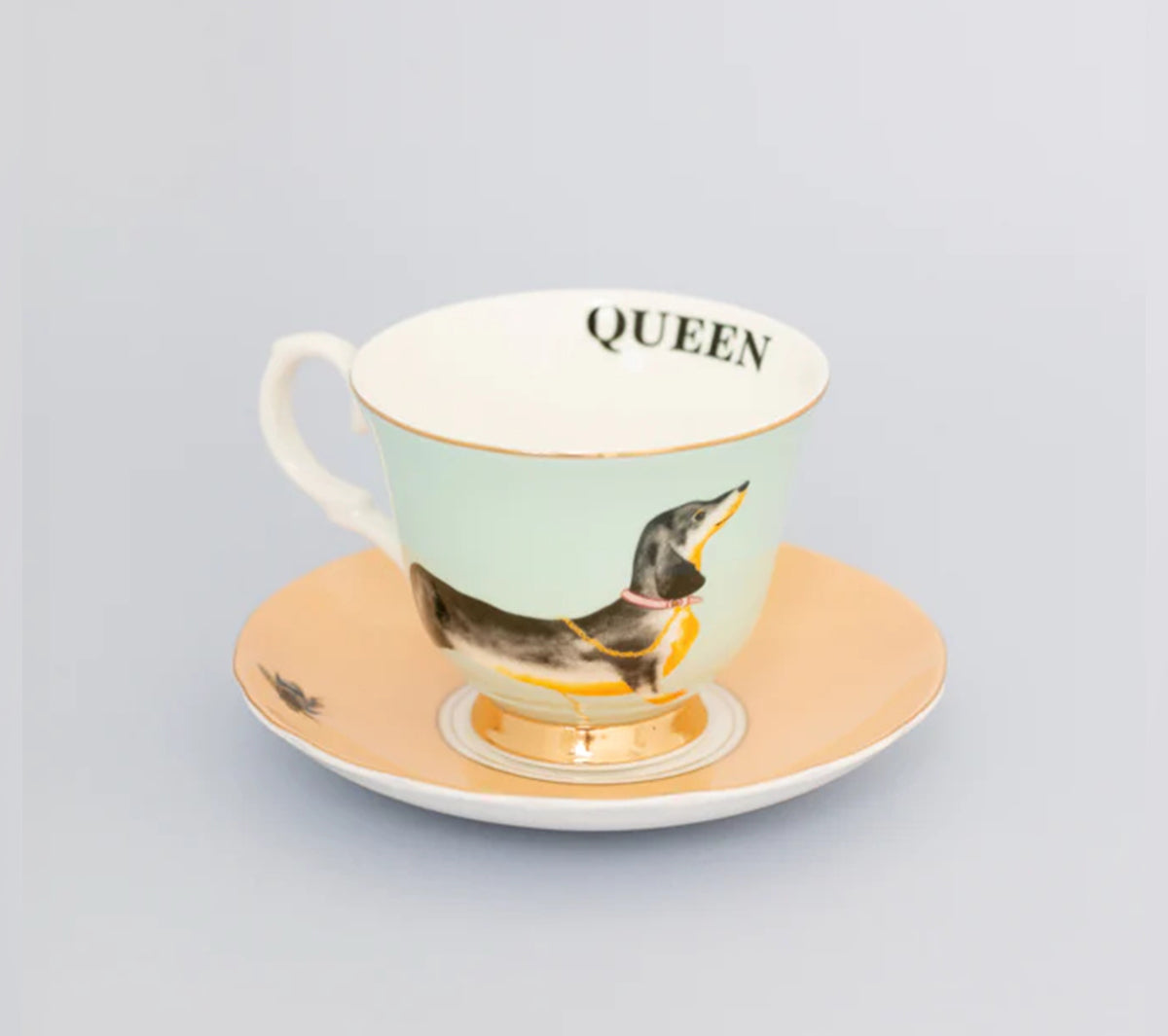  Accessori da cucina  - Teacup and saucer - Doggie - Taninihome.com