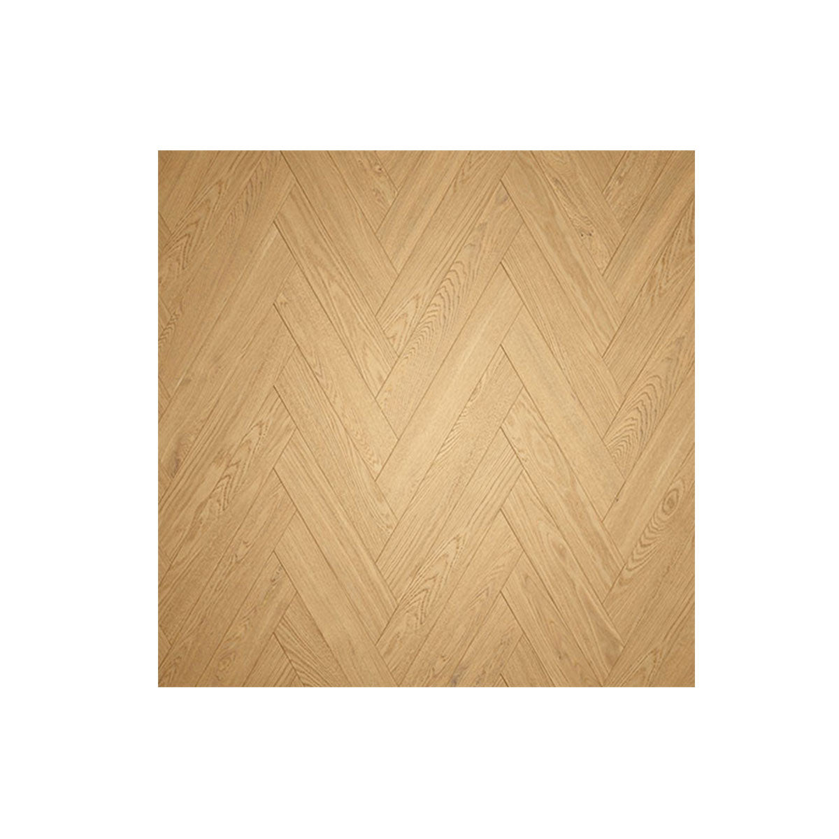  Parquet  - I Grandi Classici - Spine - Taninihome.com