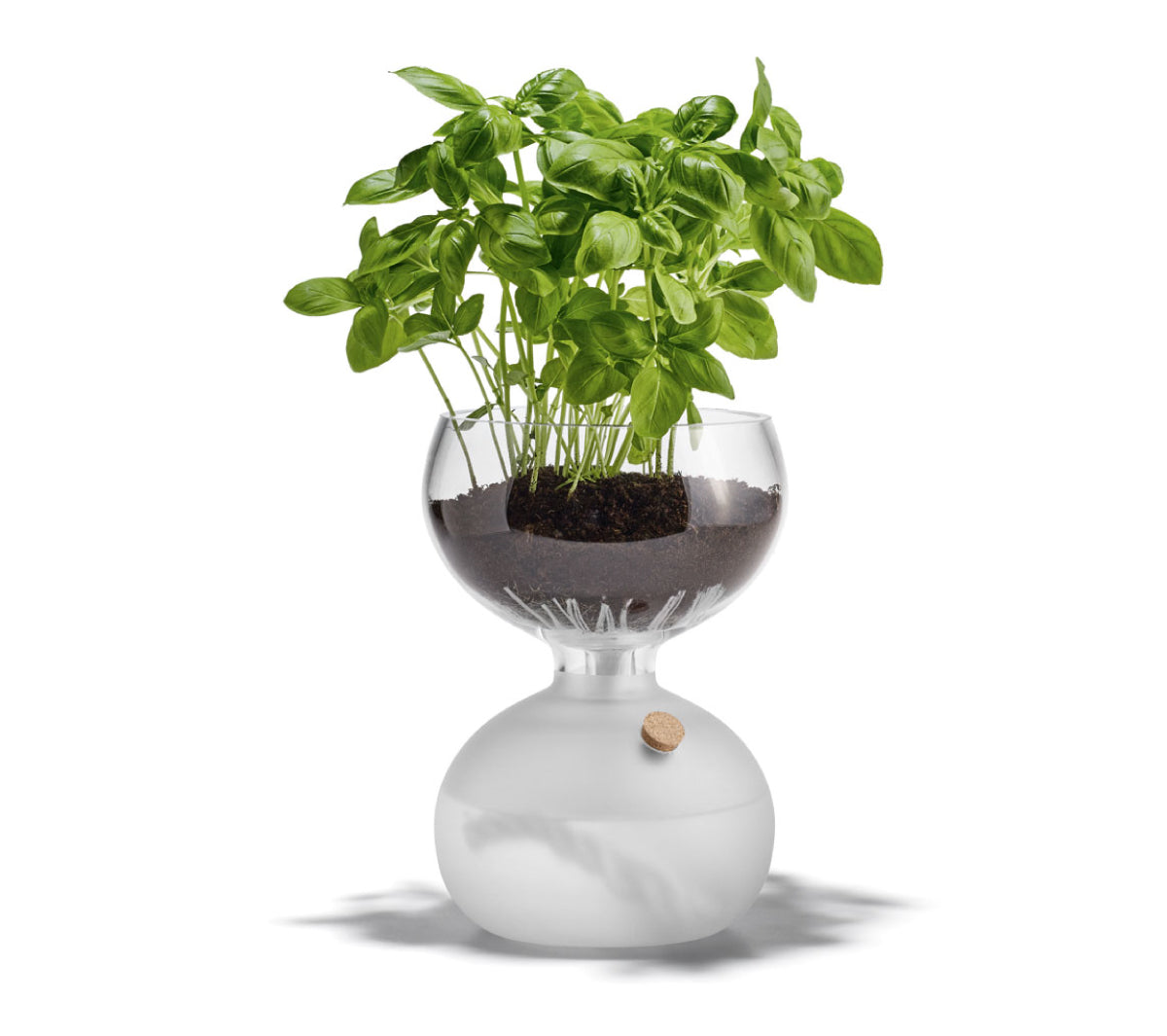 Rosendahl - Plant glass - Taninihome.com