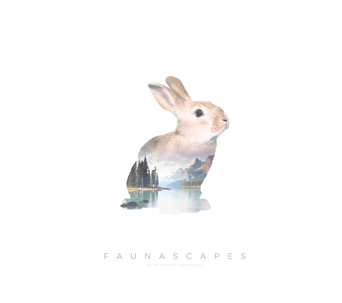 What We Do - Rabbit B2 Print - Taninihome.com