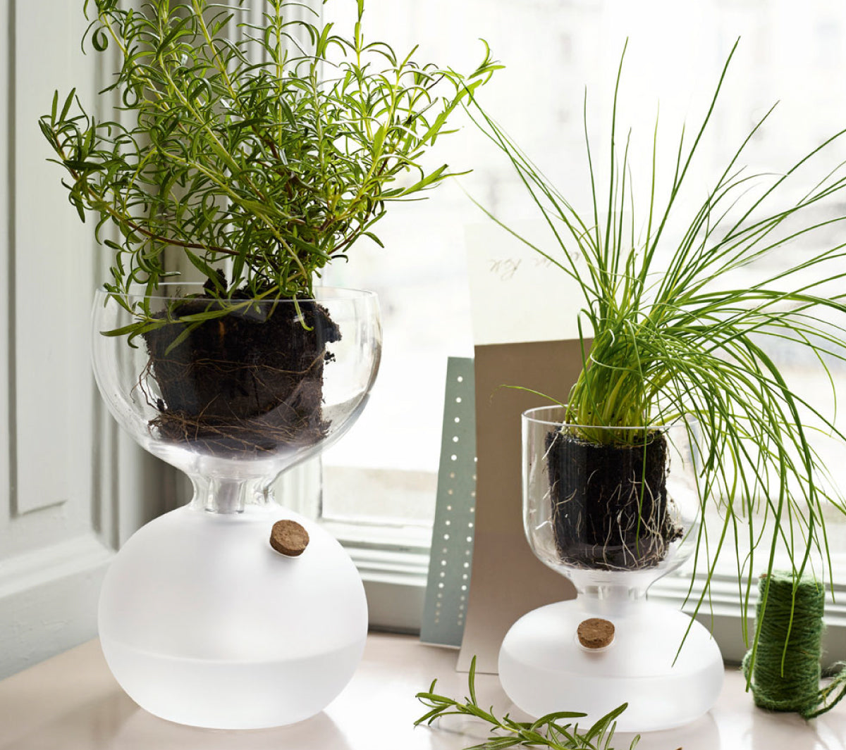  Accessori living  - Plant glass - Taninihome.com