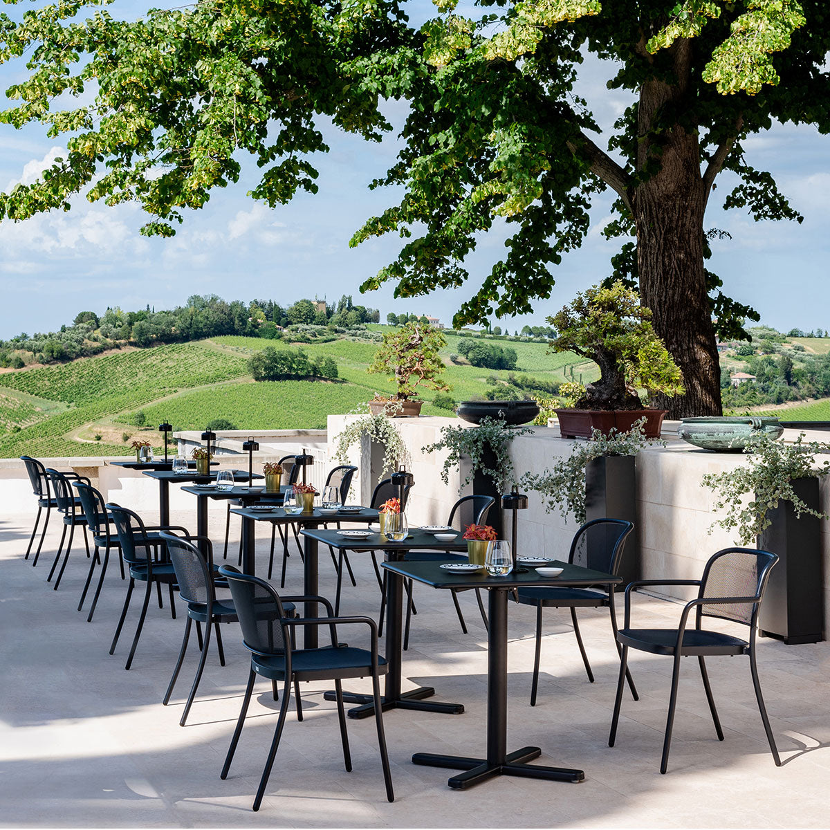 Emu - Darwin 70x70 - Taninihome.com