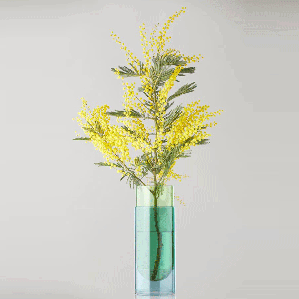  Accessori living  - Bouquet Tube - Taninihome.com