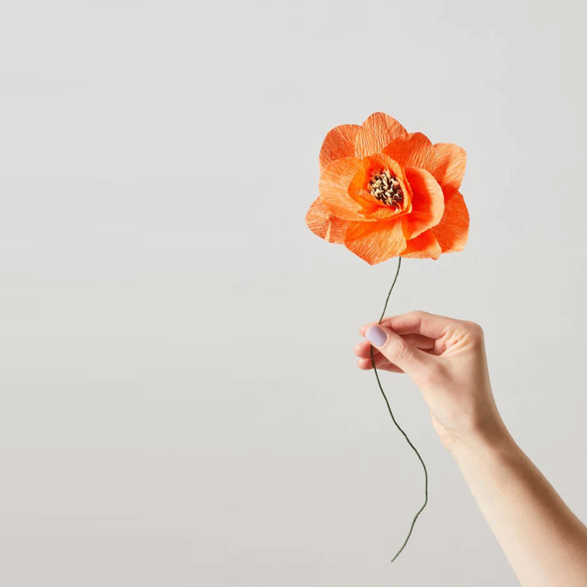  Accessori living  - Paper Flower - Taninihome.com