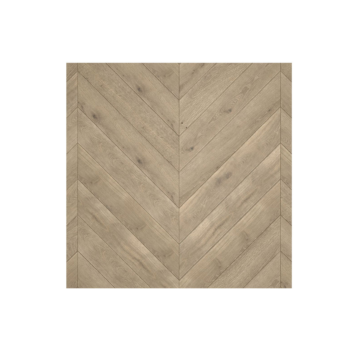  Parquet  - I Grandi Classici - Spine - Taninihome.com