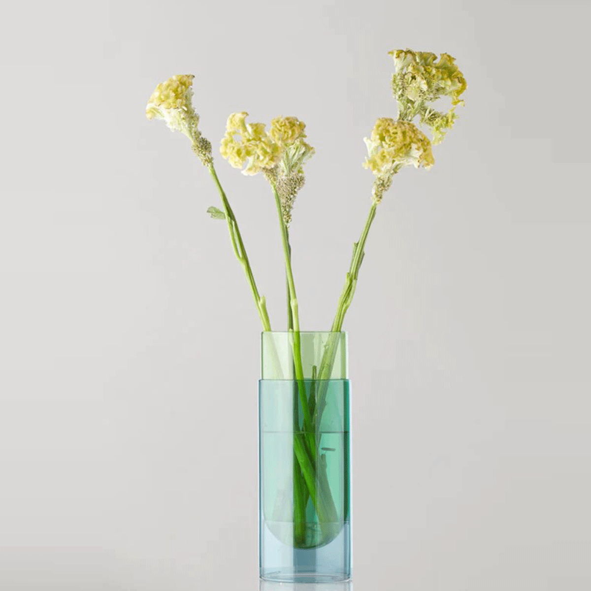  Accessori living  - Bouquet Tube - Taninihome.com