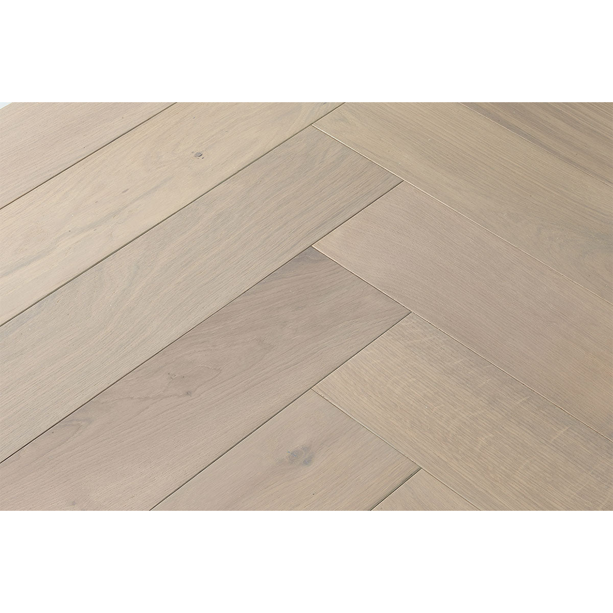  Parquet  - Forever 1919 - Taninihome.com